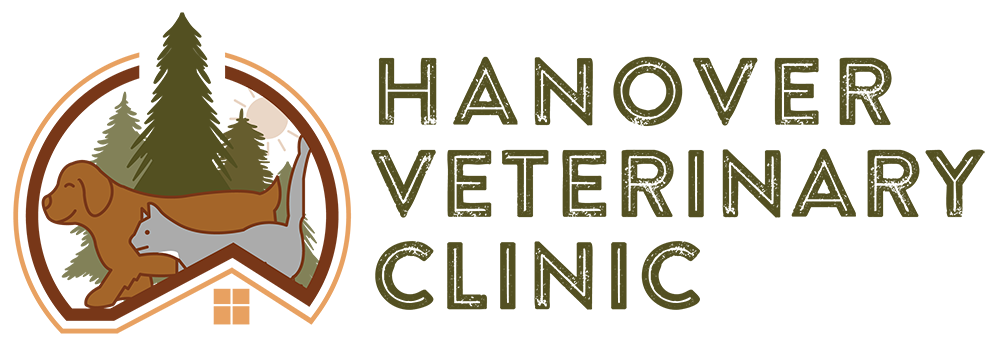Hanover Veterinary Clinic
