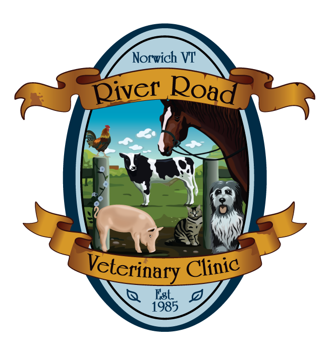 River Road Veterinary Clinic